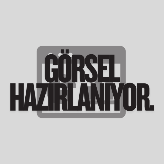 WheelKing Demir Tozu-Jant Temizleyici ve Parlatıcı 500 ML