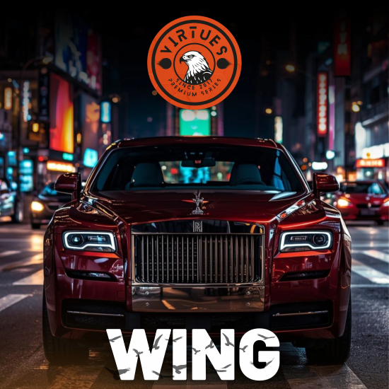 VİRTUES WING 170 5 YEARS SELF HEALING TPU