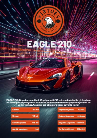 Virtues EAGLE 210 10 Years Special Series